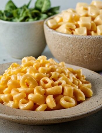 Best Velveeta Mac and Cheese Recipe